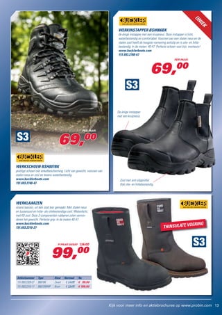 1336 probin brochure | PDF