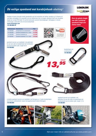 1336 probin brochure | PDF