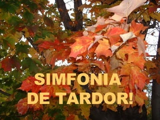 SIMFONIA  DE TARDOR! 