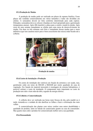 28
15.3.Produção de Mudas
A produção de mudas pode ser realizada em placas de espuma fenólica. Essas
placas são vendidas comercialmente em vários tamanhos e todas são divididas em
células. A semeadura deverá ser feita conforme determinada para cada espécie.
Efetuada a semeadura deve-se colocar a bandeja em local apropriado para a germinação
(temperatura amena). Após 48h transferir a placa para a estufa e mantê-la úmida. Após
cerca de uma semana transplantar as células para uma mesa de desenvolvimento de
mudas. Em duas ou três semanas será feito o transplante dessas mudas para a mesa
definitiva (que tem canaleta maior para o bom crescimento das raízes) onde ficarão até a
colheita.
Produção de mudas
15.4.Custos de Instalação e Produção
Os custos de instalação são variáveis em função da estrutura a ser usada, mas,
geralmente estão em torno de R$5,00 a R$20,00 por metro quadrado de casa de
vegetação. Em função do material necessário à montagem do sistema hidropônico, é
possível estimar o custo de instalação. O componente mais importante no custo de
produção tem sido o item mão-de-obra, seguido da energia elétrica.
15.5.Colheita e Comercialização
A colheita deve ser realizada nas horas mais frescas do dia, pela manhã ou à
tarde, tomando-se o cuidado de não danificar as folhas e fazer a eliminação das mais
velhas.
A comercialização das plantas com raízes confere uma maior durabilidade e
qualidade do produto, tanto no balcão do comerciante quanto na casa do consumidor.
Mas quanto mais cedo o produto for comercializado melhor será a sua qualidade.
15.6.Fitossanidade
 