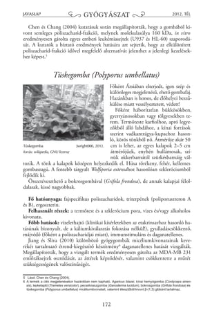 JAVASLAP

GYÓGYÁSZAT

2012. TÉL

Chen és Chang (2004) kutatásuk során megállapították, hogy a gombából kivont semleges poliszacharid-frakció, melynek molekulasúlya 160 kDa, in vitro
eredményesen gátolta egyes emberi leukémiasejtek (U937 és HL-60) szaporodását. A kutatók a biztató eredmények hatására azt sejtetik, hogy az elkülönített
poliszacharid-frakció idővel megfelelő alternatívát jelenthet a jelenlegi kezelésekhez képest.5

Tüskegomba (Polyporus umbellatus)
Főként Ázsiában elterjedt, igen szép és
különleges megjelenésű, ehető gombafaj.
Hazánkban is honos, de élőhelyei beszűkülése miatt veszélyeztetett, védett!
Főként háborítatlan bükkösökben,
gyertyánosokban vagy tölgyesekben terem. Termőteste karfiolhoz, apró legyezőkből álló labdához, a kínai források
szerint vadkantrágya-kupachoz hasonló, közös tönkből nő. Átmérője akár 50
Tüskegomba
Jwright000, 2012.
cm is lehet, az egyes kalapok 2–5 cm
forrás: wikipedia, GNU licensz
átmérőjűek, enyhén hullámosak, színük okkerbarnától szürkésbarnáig változik. A tönk a kalapok középen helyezkedik el. Húsa törékeny, fehér, kellemes
gombaszagú. A fentebb tárgyalt Wolfiporia extensához hasonlóan szkleróciumból
fejlődik ki.
Összetéveszthető a bokrosgombával (Grifola frondosa), de annak kalapjai féloldalasak, kissé nagyobbak.
Fő hatóanyaga: fajspecifikus poliszacharidok, triterpének (poliporuszteron A
és B), ergoszterin.
Felhasznált részek: a termőtest és a szklerócium pora, vizes és/vagy alkoholos
kivonata.
Főbb hatások: vizelethajtó (klinikai kísérletekben az etakrinsavhoz hasonló hatásúnak bizonyult, de a káliumkiválasztás fokozása nélkül!), gyulladáscsökkentő,
májvédő (főként a poliszacharidjai miatt), immunstimuláns és daganatellenes.
Jiang és Sliva (2010) különböző gyógygombák micéliumkivonatainak keverékét tartalmazó étrend-kiegészítő készítmény6 daganatellenes hatását vizsgálták.
Megállapították, hogy a vizsgált termék eredményesen gátolta az MDA-MB 231
emlőráksejtek osztódását, az áttétek képződését, valamint csökkentette a műtét
szükségességének valószínűségét.
5 Lásd: Chen és Chang (2004).
6 A termék a cikk megjelenésekor hazánkban nem kapható, Agaricus blazei, kínai hernyógomba (Cordyceps sinensis), lepketapló (Trametes versicolor), pecsétviaszgomba (Ganoderma lucidum), bokrosgomba (Grifola frondosa) és
tüskegomba (Polyporus umbellatus) micéliumkivonatait, valamint élesztőből kivont β-(1,3) glükánt tartalmaz.

172

 