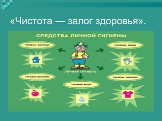 «Чистота — залог здоровья».

 