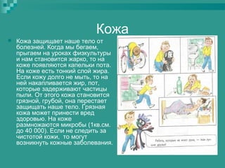 Кожа


Кожа защищает наше тело от
болезней. Когда мы бегаем,
прыгаем на уроках физкультуры
и нам становится жарко, то на
коже появляются капельки пота.
На коже есть тонкий слой жира.
Если кожу долго не мыть, то на
ней накапливается жир, пот,
которые задерживают частицы
пыли. От этого кожа становится
грязной, грубой, она перестает
защищать наше тело. Грязная
кожа может принести вред
здоровью. На коже
размножаются микробы (1кв.см.
до 40 000). Если не следить за
чистотой кожи, то могут
возникнуть кожные заболевания.

 