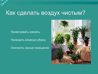 Как сделать воздух чистым?
Проветривать комнаты
Проводить влажную уборку
Озеленять жилые помещения

 