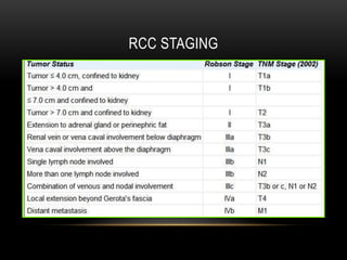 Ablation RCC | PPTX