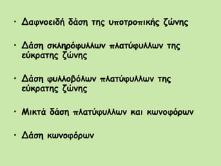 • Δαφνοειδή δάση της υποτροπικής ζώνης
• Δάση σκληρόφυλλων πλατύφυλλων της
εύκρατης ζώνης
• Δάση φυλλοβόλων πλατύφυλλων της
εύκρατης ζώνης
• Μικτά δάση πλατύφυλλων και κωνοφόρων
• Δάση κωνοφόρων
 
