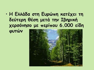 • Η Ελλάδα στη Ευρώπη κατέχει τη
δεύτερη θέση μετά την Ιβηρική
χερσόνησο με περίπου 6.000 είδη
φυτών
 