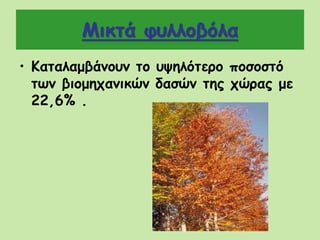 Μικτά φυλλοβόλα
• Καταλαμβάνουν το υψηλότερο ποσοστό
των βιομηχανικών δασών της χώρας με
22,6% .
 