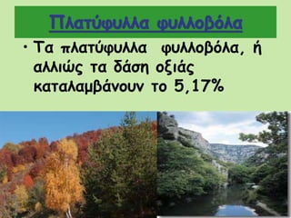 Πλατύφυλλα φυλλοβόλα
• Τα πλατύφυλλα φυλλοβόλα, ή
αλλιώς τα δάση οξιάς
καταλαμβάνουν το 5,17%
 
