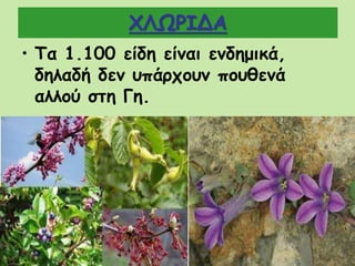 ΧΛΩΡΙΔΑ
• Τα 1.100 είδη είναι ενδημικά,
δηλαδή δεν υπάρχουν πουθενά
αλλού στη Γη.
 