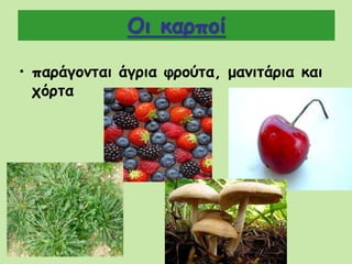 Οι καρποί
• παράγονται άγρια φρούτα, μανιτάρια και
χόρτα
 
