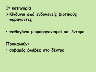 1η κατηγορία
Κίνδυνοι από ενδογενείς βιοτικούς
παράγοντες
• παθογόνοι μικροοργανισμοί και έντομα
Προκαλούν:
• σοβαρές βλάβες στο δέντρο
 
