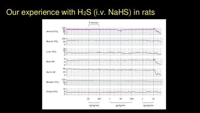 Suspended Animation By Mervyn Singer