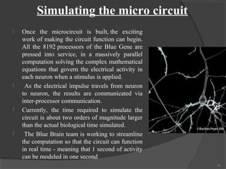 Simulating the micro circuit
   Once the microcircuit is built, the exciting
    work of making the circuit function can begin.
    All the 8192 processors of the Blue Gene are
    pressed into service, in a massively parallel
    computation solving the complex mathematical
    equations that govern the electrical activity in
    each neuron when a stimulus is applied.
    As the electrical impulse travels from neuron
    to neuron, the results are communicated via
    inter-processor communication.
   Currently, the time required to simulate the
    circuit is about two orders of magnitude larger
    than the actual biological time simulated.
    The Blue Brain team is working to streamline
    the computation so that the circuit can function
    in real time - meaning that 1 second of activity
    can be modeled in one second
                                                       15
 
