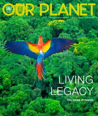 OUR PLANET
     The magazine of the United Nations Environment Programme - September 2008




       LIVING
      LEGACY
                                 The future of forests



                                                  OUR PLANET THE FUTURE OF FORESTS   1
 