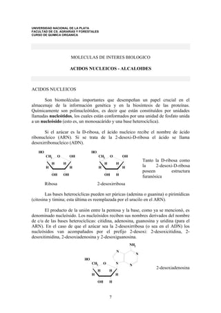 UNIVERSIDAD NACIONAL DE LA PLATA
FACULTAD DE CS. AGRARIAS Y FORESTALES
CURSO DE QUIMICA ORGANICA

MOLECULAS DE INTERES BIOLOGICO

ACIDOS NUCLEICOS - ALCALOIDES

ACIDOS NUCLEICOS
Son biomoléculas importantes que desempeñan un papel crucial en el
almacenaje de la información genética y en la biosíntesis de las proteínas.
Químicamente son polinucleótidos, es decir que están constituídos por unidades
llamadas nucleótidos, los cuales están conformados por una unidad de fosfato unida
a un nucleósido (esto es, un monosacárido y una base heterocíclica).
Si el azúcar es la D-ribosa, el ácido nucleico recibe el nombre de ácido
ribonucleico (ARN). Si se trata de la 2-desoxi-D-ribosa el ácido se llama
desoxirribonucleico (ADN).
HO

HO
CH2

O

H

CH2

OH
H

H
H

H
OH

O

OH
H

H

OH

OH

Ribosa

Tanto la D-ribosa como
la
2-desoxi-D-ribosa
poseen
estructura
furanósica

H
H

2-desoxirribosa

Las bases heterocíclicas pueden ser púricas (adenina o guanina) o pirimídicas
(citosina y timina; esta última es reemplazada por el uracilo en el ARN).
El producto de la unión entre la pentosa y la base, como ya se mencionó, es
denominado nucleósido. Los nucleósidos reciben sus nombres derivados del nombre
de c/u de las bases heterocíclicas: citidina, adenosina, guanosina y uridina (para el
ARN). En el caso de que el azúcar sea la 2-desoxirribosa (o sea en el ADN) los
nucleósidos van acompañados por el prefijo 2-desoxi: 2-desoxicitidina, 2desoxitimidina, 2-desoxiadenosina y 2-desoxiguanosina.
NH2
N

N

HO
CH2

N

O

H

H

H

H
OH

H

7

N

2-desoxiadenosina

 