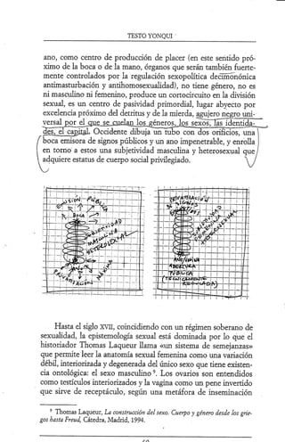 Testo Yonki Beatriz preciado