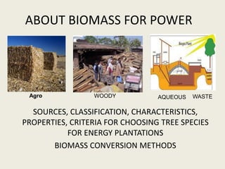 ABOUT BIOMASS FOR POWER




 Agro            WOODY           AQUEOUS   WASTE

  SOURCES, CLASSIFICATION, CHARACTERISTICS,
PROPERTIES, CRITERIA FOR CHOOSING TREE SPECIES
           FOR ENERGY PLANTATIONS
       BIOMASS CONVERSION METHODS
 