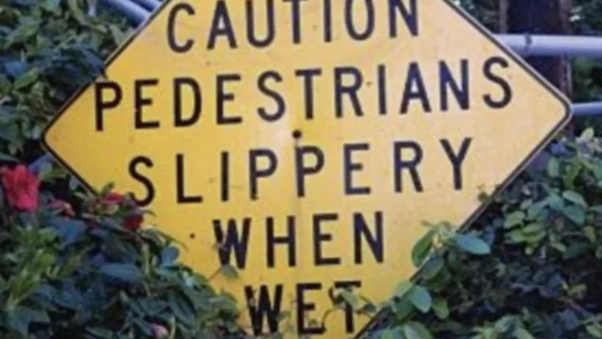 Photographer; Source (example.flickr.com)
 