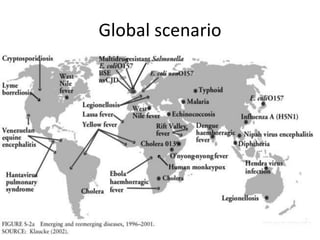 Global scenario

 
