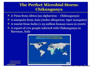 10/15/2013

28

Charrel et al. 2007. N Engl J Med 356;8

 