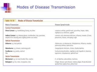 Modes of Disease Transmission

 