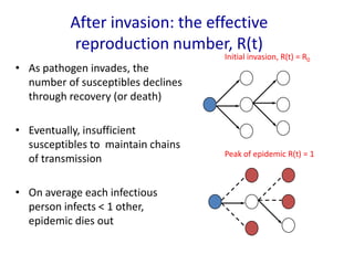 After invasion: the effective
reproduction number, R(t)
• As pathogen invades, the
number of susceptibles declines
through recovery (or death)
• Eventually, insufficient
susceptibles to maintain chains
of transmission
• On average each infectious
person infects < 1 other,
epidemic dies out

Initial invasion, R(t) = R0

Peak of epidemic R(t) = 1

 