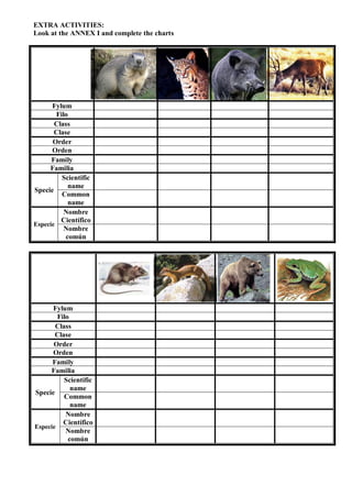 UNIT 09.- THE BIODIVERSITY AND THEIR CLASSIFICATION (Worksheet) | PDF