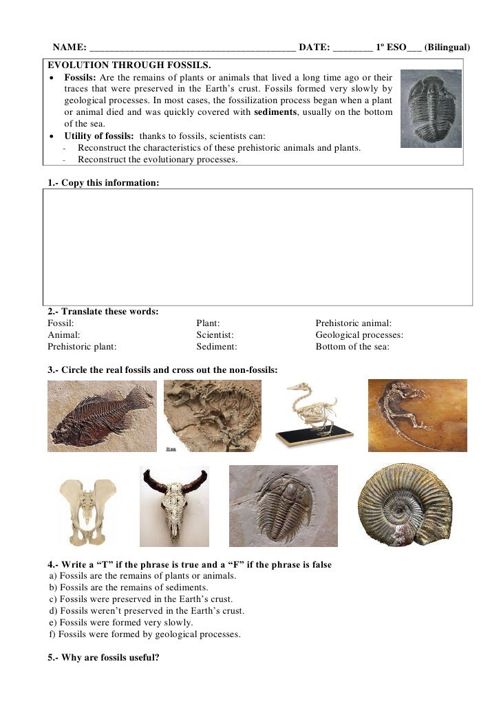 UNIT 09.- THE BIODIVERSITY AND THEIR CLASSIFICATION (Worksheet)