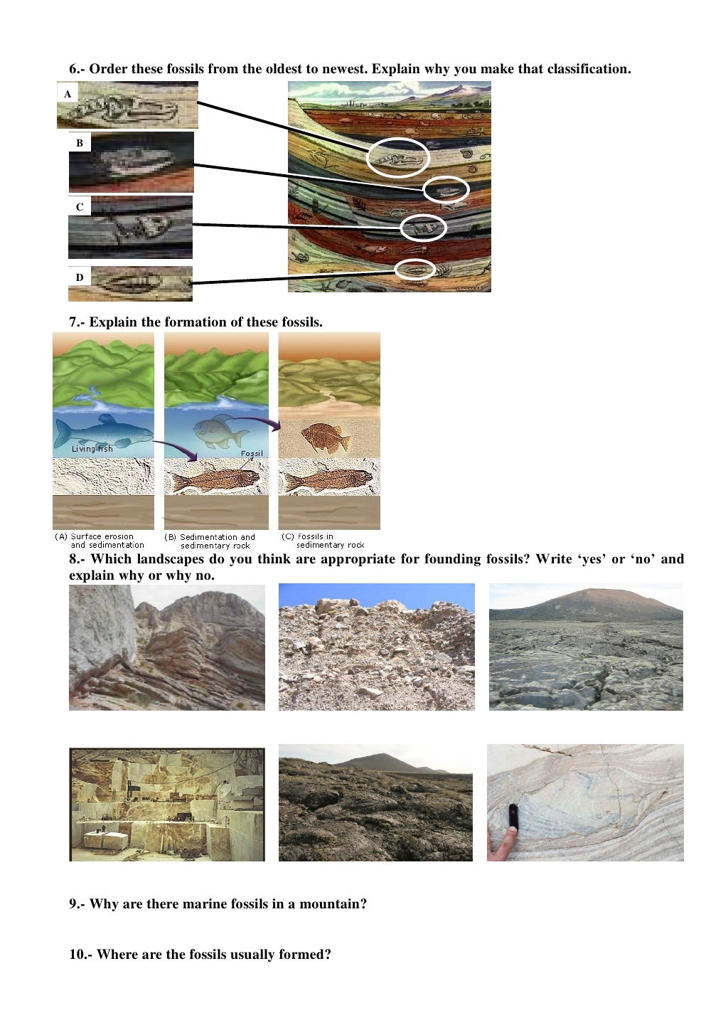 unit-09-the-biodiversity-and-their-classification-worksheet