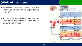 Comprehensive Overview of the Female Reproductive System: Anatomy ...