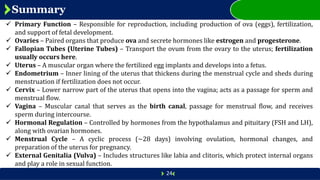 Comprehensive Overview of the Female Reproductive System: Anatomy ...