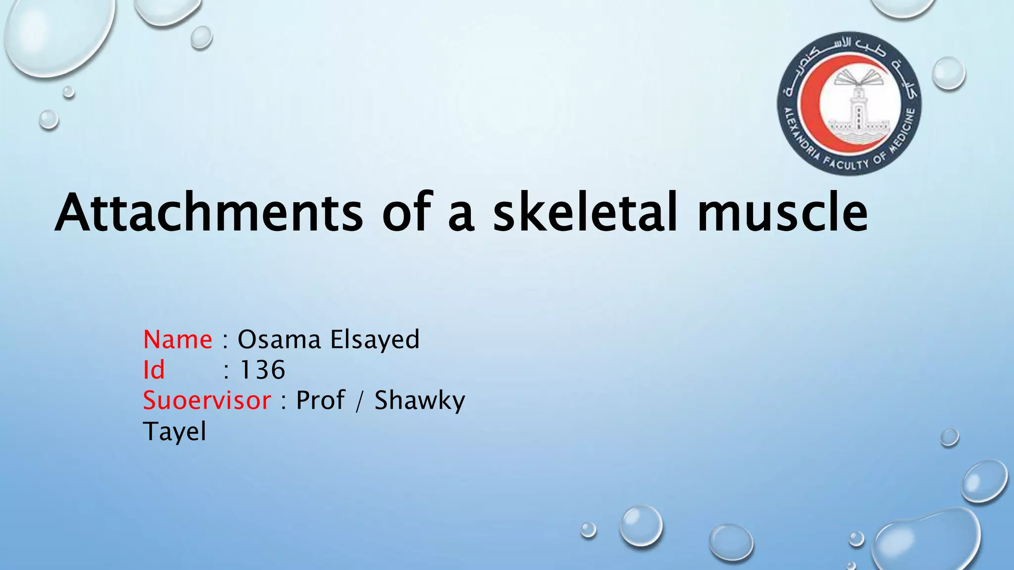 Attachments of a skeletal muscle
Name : Osama Elsayed
Id : 136
Suoervisor : Prof / Shawky
Tayel