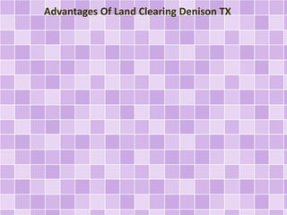 Advantages Of Land Clearing Denison TX 
 