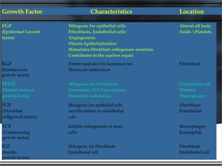 Growth Factor Characteristics Location
EGF Mitogenic for epithelial cells Almost all body
(Epidermal Growth Fibroblasts, Endothelial cells fluids Platelets
factor) Angiogenesis
Directs Epithelialisation
Stimulates fibroblast collegenase secretion
Contributes to the scarless repair
KGF Potent mediator for kerotinocytes Fibroblasts
(Keratinocyte Monocyte maturation
growth factor)
PDGF Mitogenic for fibroblasts Endothelial cell
(Platelet derived Potentiates VEGF production Platelets
growth factor) Monocyte maturation Macrophages
FGF Mitogenic for epithelial cells Fibroblasts
(Fibroblast not fibroblasts or endothelial Endothelial
cellgrowth factor) cells
TGF Inhibits mitogenesis of most Macrophages
(Transforming cells Eosinophils
growth factor)
IGF Mitogenic for fibroblasts Fibroblasts
(Insulin Endothelial cell Endothelial cell
growth factor)
 