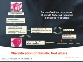 Cause of reduced expression
of growth factors & receptors
in Diabetic Foot Ulcers
Diabetic foot lesion
•Repeated trauma
•Cell detritus/cell-fragments
• Increased & Prolonged
inflammatory response
• Increased invasion of
macrophages & neutrophiles
Increased activation of
macrophages by cytokines and
growth factors
TNF-α; IL-1β
Fibroblasts &
inflammatory cells
Serin-proteases MMPs TIMPs
Degradation of growthgrowth
factors & receptorsfactors & receptors
Diabetologia. 2002 Jul;45(7):1011-6. Epub 2002 May 25
Chronification of Diabetic foot ulcers
 