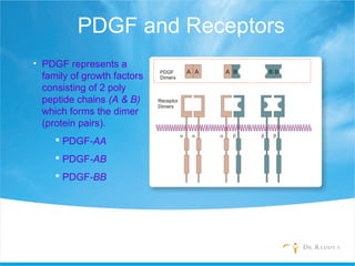 PDGF and Receptors
• PDGF represents a
family of growth factors
consisting of 2 poly
peptide chains (A & B)
which forms the dimer
(protein pairs).
 PDGF-AA
 PDGF-AB
 PDGF-BB
 