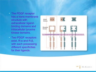 • The PDGF receptor
has a trans-membrane
structure with
extracellular ligand-
binding domains and
intracellular tyrosine
kinase domains.
• Two PDGF receptors
exist, R-α and R-β,
with each possessing
different specificities
for their ligands.
 