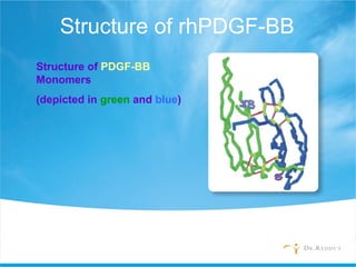 Structure of rhPDGF-BB
Structure of PDGF-BB
Monomers
(depicted in green and blue)
 