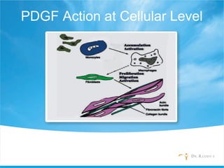 PDGF Action at Cellular Level
 