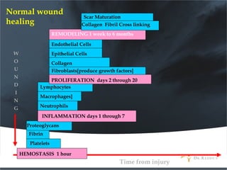HEMOSTASIS 1 hour
W
O
U
N
D
I
N
G
Platelets
Fibrin
INFLAMMATION days 1 through 7
Proteoglycans
Neutrophils
Macrophages]
Lymphocytes
PROLIFERATION days 2 through 20
Normal wound
healing
Fibroblasts[produce growth factors]
Collagen
Epithelial Cells
Endothelial Cells
REMODELING 1 week to 6 months
Collagen Fibril Cross linking
Scar Maturation
Time from injury
 