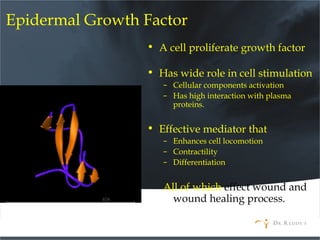 Epidermal Growth Factor
• A cell proliferate growth factor
• Has wide role in cell stimulation
– Cellular components activation
– Has high interaction with plasma
proteins.
• Effective mediator that
– Enhances cell locomotion
– Contractility
– Differentiation
All of which effect wound and
wound healing process.
 