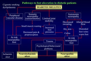 DIABETES MELLITUS
Autonomic
neuropathy
Somatic
neuropathy
(sensorimotor)
Peripheral
vascular disease
Neuroischaemic
ulcer
Neuropathic
ulcer
Decreased Altered blood
sweating flow
Limited joint
mobility
Cigarette smoking
dyslipidaemia
Small muscle wasting
Decreased pain &
proprioception
Ischaemic
ulcer
Pathways to foot ulceration in diabetic patients
Increased
foot
pressures
Psychological/behavioural
problems
Trauma
At risk
neuropathic
foot
Dry skin
Callus
Distended
foot veins:
warm foot
At risk
neuropathic
foot
 