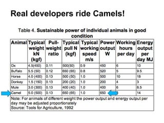 Real developers ride Camels!
 