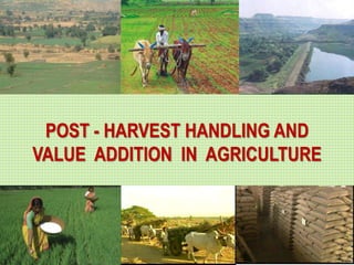 POST - HARVEST HANDLING AND
VALUE ADDITION IN AGRICULTURE
 