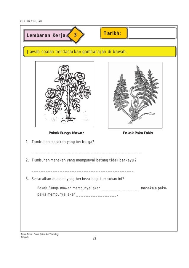 Contoh Soalan Tahun 1 Sains - Contoh ABCD