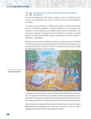 16
REGIÓN METROPOLITANA
3.8 ¿Cuáles son las causas específicas de los incendios
forestales?
En Chile los incendios forestales tienen su origen, casi en su totalidad, en el ser
humano y sus actividades. Esta causa se divide en descuido, intencionalidad y
accidental.
La primera, la causa descuido, se relaciona con el valor y conducta que tenemos
hacia las formaciones vegetales en nuestra localidad o en los territorios que
ocupamos en forma temporal, por ejemplo cuando vamos de vacaciones. Si el
valor que le asignamos al bosque de nuestra localidad es muy bajo o no ocupa
algún rol en nuestras necesidades, nuestra conducta hacia él será descuidada –o
negligente- e imprudente.
Ejemplosdeestacausasonlasfogatasrealizadasencampingsintomarlasmedidas
necesarias para que no se escape el fuego; cigarrillos arrojados sobre pasto seco, y
las quemas de basura o desechos sin tomar las consideraciones para que el fuego
no afecte más de lo que se necesita quemar.
La segunda, la causa intencional, aunque también pueden relacionarse con el valor
que les asignamos a las formaciones vegetales, tiene la particularidad de que en
ella existe la intención premeditada de hacer daño. Un ejemplo de esta causa son
los incendios generados por conflictos de intereses por un territorio en particular.
Cabe destacar, que la mayoría de los incendios forestales que ocurren en la Región
Metropolitana son producidos por acción del ser humano, ya sea, por alguna
negligencia o descuido (72%) o intencionalmente (15%).
Ilustración:Carlos Cárcamo
 