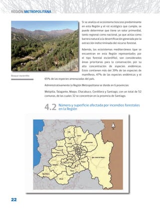 22
REGIÓN METROPOLITANA
Si se analiza el ecosistema boscoso predominante
en esta Región y el rol ecológico que cumple, se
puede determinar que tiene un valor primordial,
tanto regional como nacional, ya que actúa como
barrera natural a la desertificación generada por la
extracción indiscriminada del recurso forestal.
Además, los ecosistemas mediterráneos (que se
encuentran en esta Región representados por
el tipo forestal esclerófilo), son considerados
áreas prioritarias para la conservación, por su
alta concentración de especies endémicas.
Estos contienen más del 39% de las especies de
mamíferos, 47% de las especies endémicas y el
65% de las especies amenazadas del país.
Administrativamente la Región Metropolitana se divide en 6 provincias:
Melipilla, Talagante, Maipo, Chacabuco, Cordillera y Santiago, con un total de 52
comunas, de las cuales 32 se concentran en la provincia de Santiago.
4.2 Número y superficie afectada por incendios forestales
en la Región
Bosque esclerófilo
 
