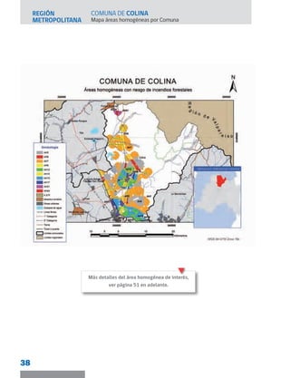 REGIÓN
METROPOLITANA Mapa áreas homogéneas por Comuna
38
COMUNA DE COLINA
Más detalles del área homogénea de interés,
ver página 51 en adelante.
 