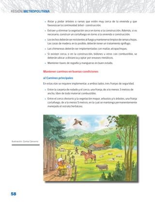 58
REGIÓN METROPOLITANA
»
» Aislar y podar árboles o ramas que estén muy cerca de la vivienda y que
favorezcan la continuidad árbol- construcción.
»
» Extraer y eliminar la vegetación seca en torno a la construcción. Además, si es
necesario, construir un cortafuego en torno a la vivienda o construcción.
»
» Lostechosdeberánserresistentesalfuegoymantenerselimpiosderamasuhojas.
Las casas de madera, en lo posible, deberán tener un tratamiento ignífugo.
»
» Las chimeneas deberán ser implementadas con mallas atrapachispas.
»
» Si existen cerca, o en la construcción, bidones u otros con combustible, se
deberán ubicar a distancia y optar por envases metálicos.
»
» Mantener llaves de regadío y mangueras en buen estado.
Mantener caminos en buenas condiciones
a) Caminos principales
En estas vías se requiere implementar, a ambos lados, tres franjas de seguridad.
»
» Entre la carpeta de rodado y el cerco, una franja, de a lo menos 3 metros de
ancho, libre de todo material combustible;
»
» Entre el cerco divisorio y la vegetación mayor, arbustos y/o árboles, una franja
cortafuego, de a lo menos 5 metros, en la cual se mantenga permanentemente
manejado el estrato herbáceo;
Ilustración: Carlos Cárcamo
 